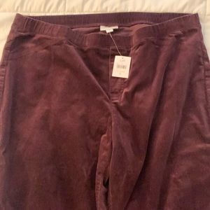 J. Jill Deep Burgundy/Aubergine Stretch Cords size XL